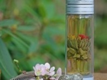 Gp-blossom-stump-and-pink-fl-tea-200x300_thumb