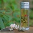 Gp-blossom-stump-and-pink-fl-tea-200x300_tiny