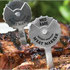 Ct_meat_meat_slot1_tiny