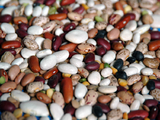 Beans_jpg-700668_thumb