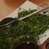Sautéed Collard Greens