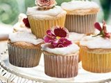 Cupcakes-ck-1185427-x_thumb