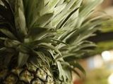 1164917_pineapple_thumb