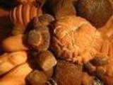 Bread_thumb