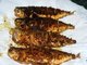 Bangda Fry (fried Mackerels)