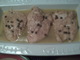 Low Fat Chicken Piccata