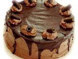 Dd4a49ae83eb6363d297173ebef3e288ace083_devil_food_cake2_thumb