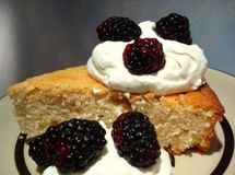 A0f4575f6faaad3321f40fac62f29ccarockchick_bite_thumb