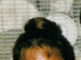 27438_1293516977_7945_n_thumb