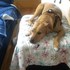 Dscn2940_tiny