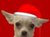 41694_535601455_6099147_n_thumb
