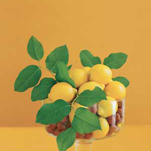 Lemon-leaf_300_thumb