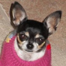 203096_1504451542_2320433_n_thumb