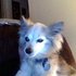 186083_1018138383_5336434_n_tiny
