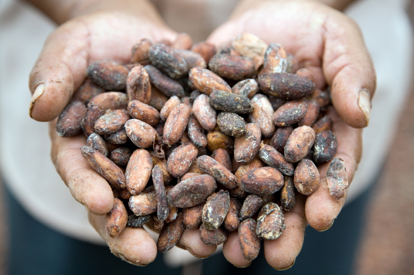 Cacao Beans