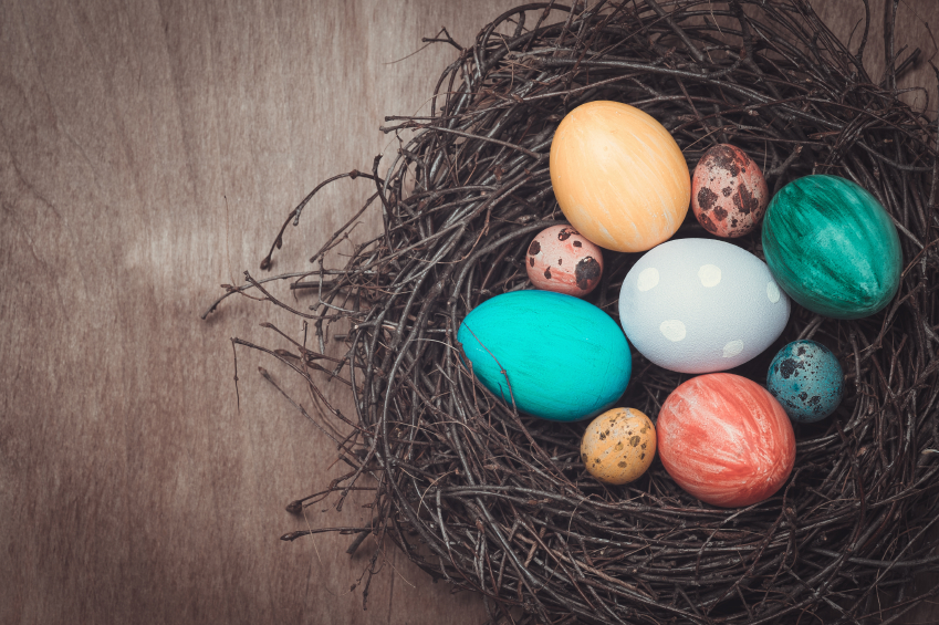 Colorful Easter eggs in a nest in a rustic style and place for t