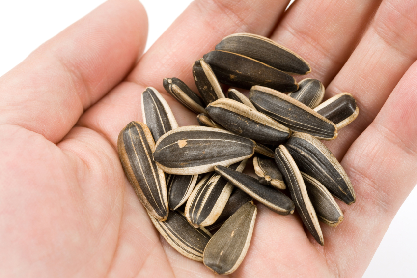 sunflower seeds