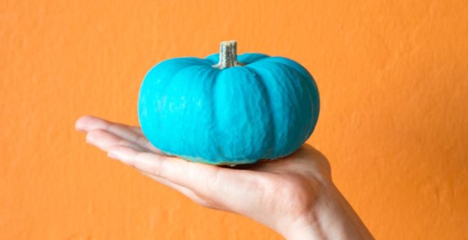 teal-pumpkin-project