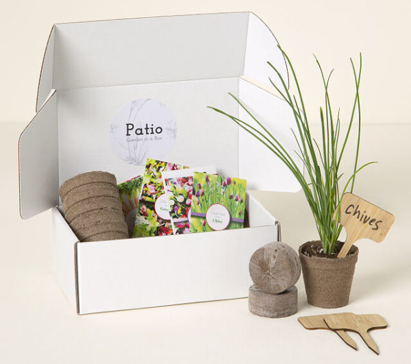 Patio Garden Seed Starter Set